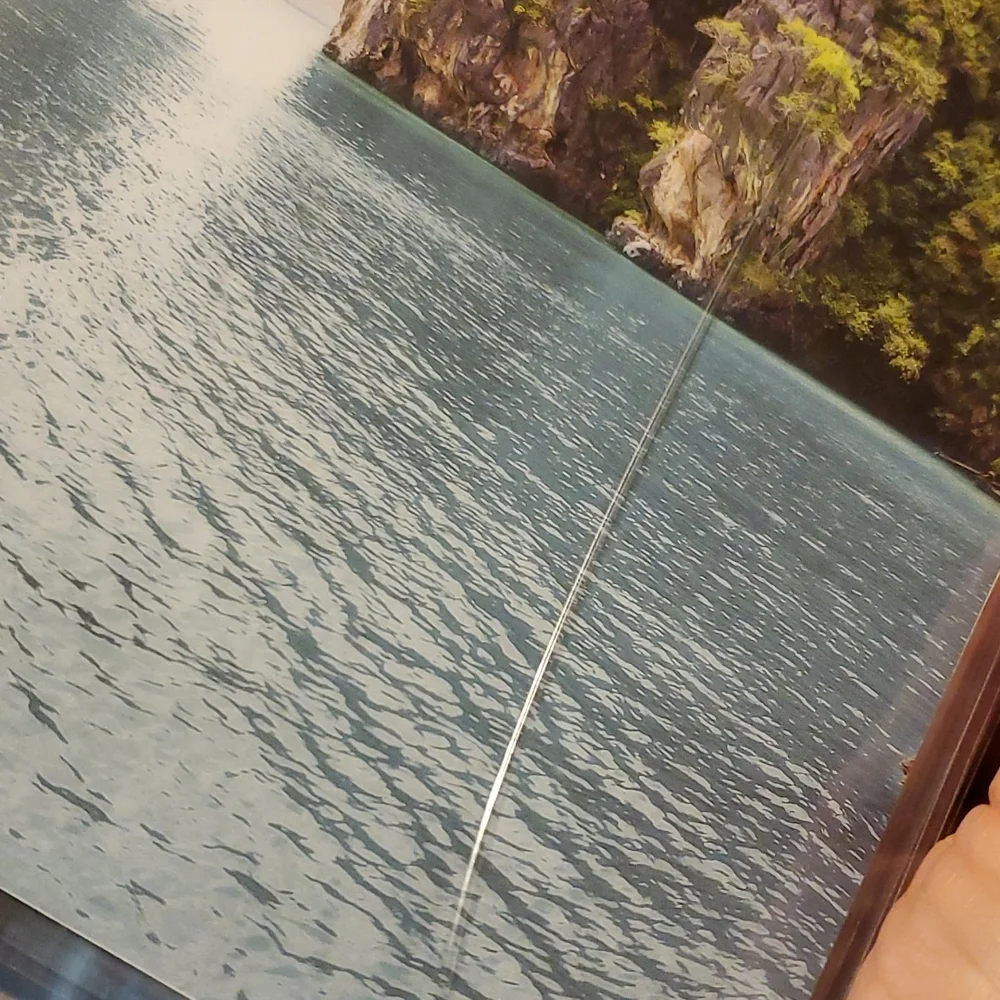 Handmade cover For A Classic Sized Disc Bound Planner Psalm 52:9 beach *defects*